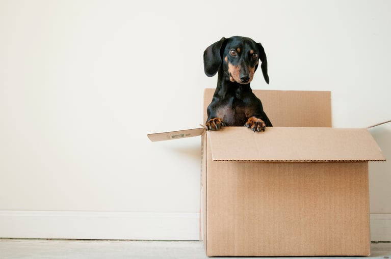 Tips to make downsizing less stressful